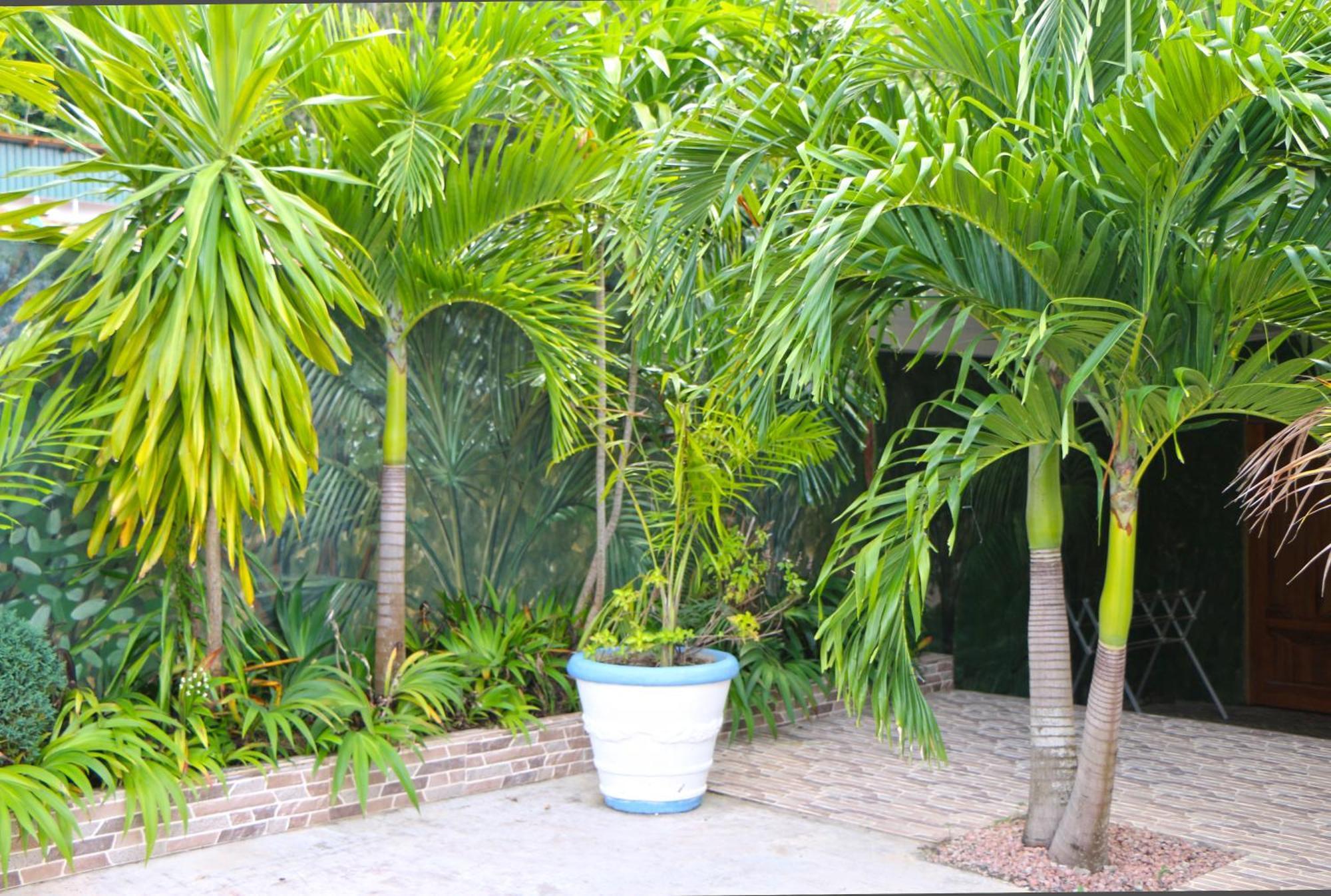 דירות אנסה וולברט וילג' Ocean Blue Bay מראה חיצוני תמונה